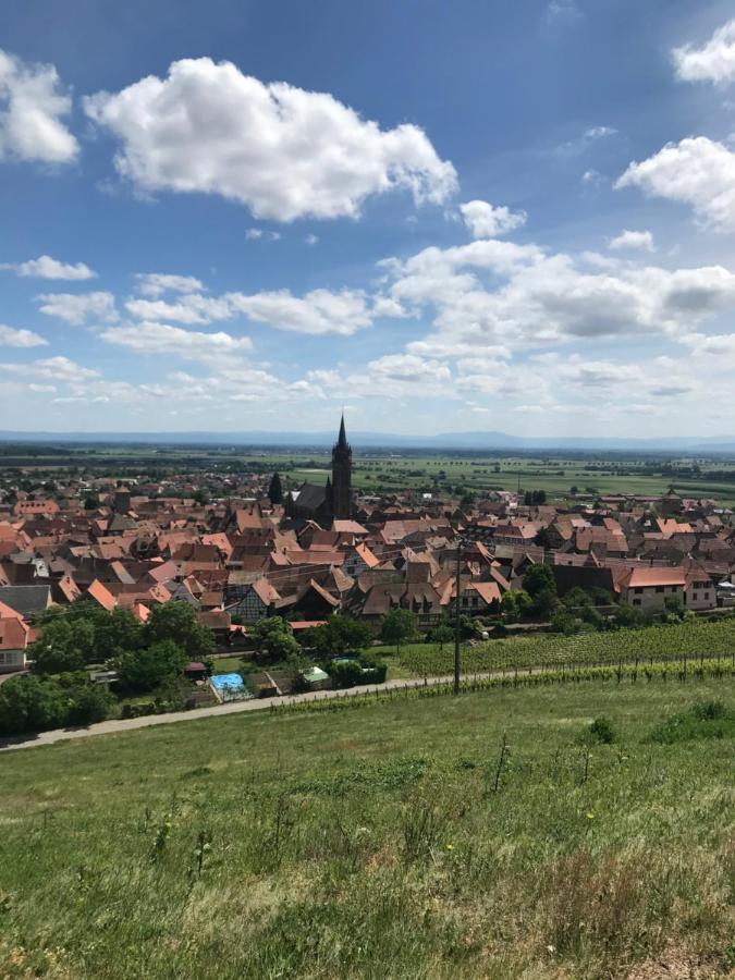 Gite Les Cles Des Vignes Dambach Eksteriør billede