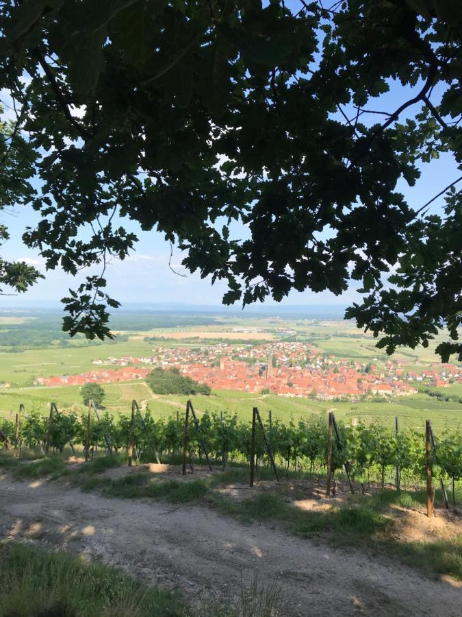 Gite Les Cles Des Vignes Dambach Eksteriør billede